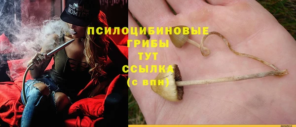 эйфоретик Алексеевка