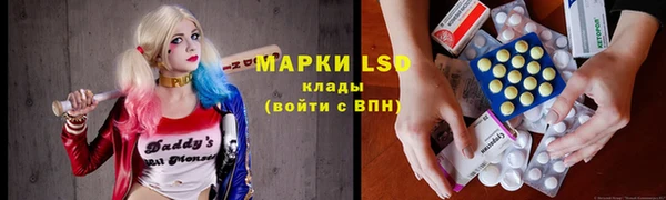 a pvp Алзамай