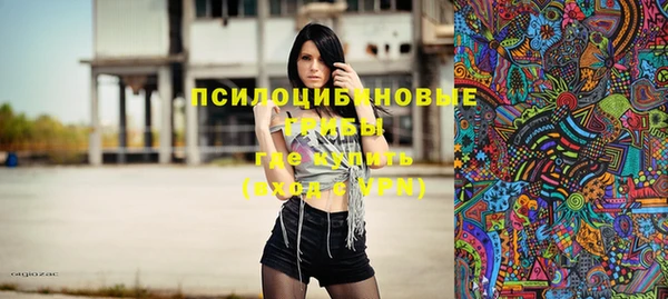 стафф Алексин