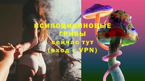 стафф Алексин