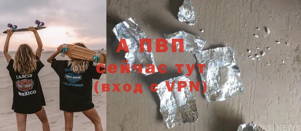 стафф Алексин