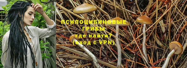 стафф Алексин