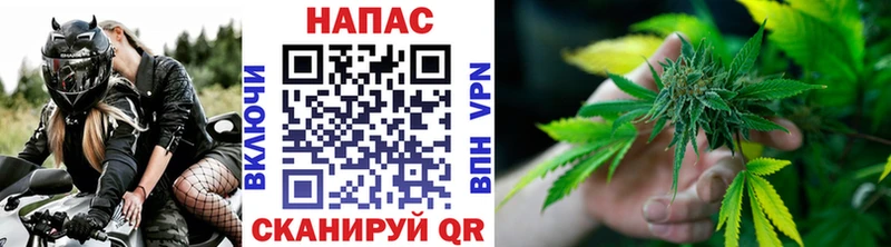 Марихуана планчик  как найти наркотики  Билибино 